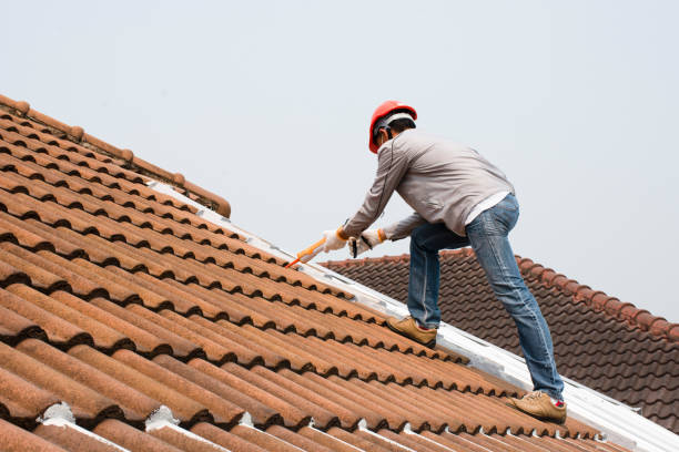 Best Flat Roofing  in Tyndall, SD